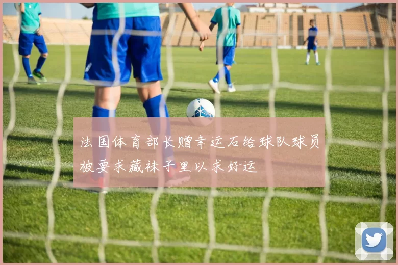 法国体育部长赠幸运石给球队球员被要求藏袜子里以求好运