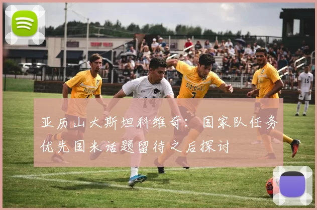 亚历山大斯坦科维奇：国家队任务优先国米话题留待之后探讨